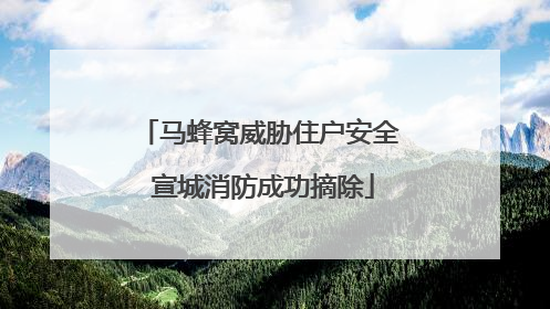 马蜂窝威胁住户安全 宣城消防成功摘除