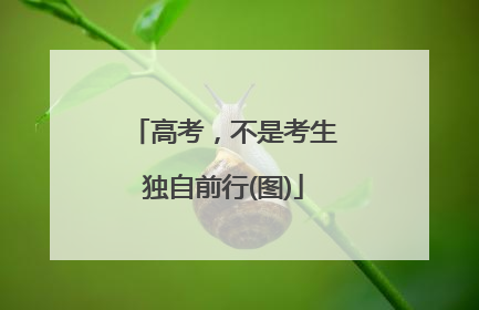 高考，不是考生独自前行(图)