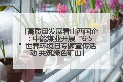 高质量发展看山西国企：中能煤业开展“6·5”世界环境日专题宣传活动 共筑绿色矿山