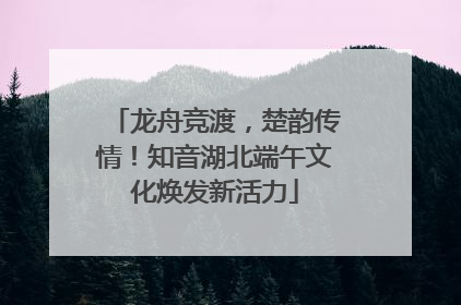 龙舟竞渡，楚韵传情！知音湖北端午文化焕发新活力