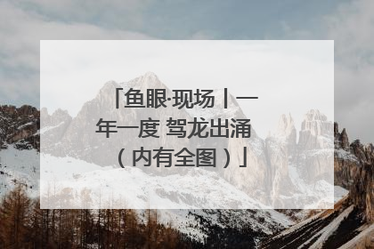 鱼眼·现场丨一年一度 驾龙出涌（内有全图）