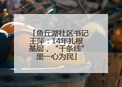 鱼丘湖社区书记王萍：14年扎根基层，“千条线”里一心为民