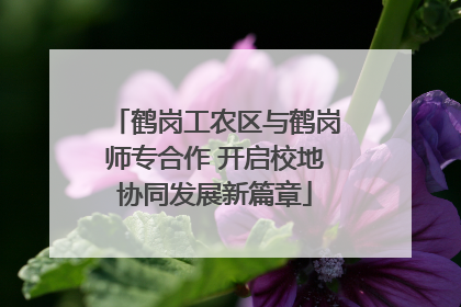 鹤岗工农区与鹤岗师专合作 开启校地协同发展新篇章