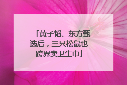 黄子韬、东方甄选后，三只松鼠也跨界卖卫生巾