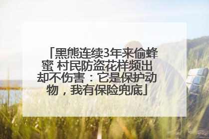 黑熊连续3年来偷蜂蜜 村民防盗花样频出却不伤害：它是保护动物，我有保险兜底