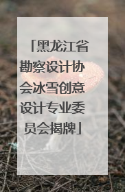 黑龙江省勘察设计协会冰雪创意设计专业委员会揭牌