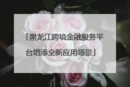 黑龙江跨境金融服务平台增添全新应用场景