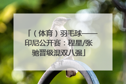 （体育）羽毛球——印尼公开赛：程星/张驰晋级混双八强
