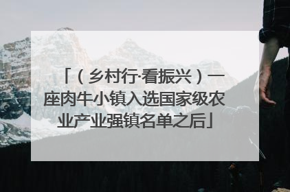 （乡村行·看振兴）一座肉牛小镇入选国家级农业产业强镇名单之后