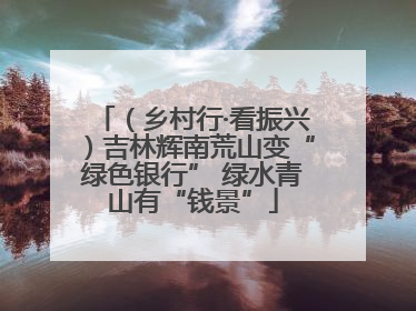 （乡村行·看振兴）吉林辉南荒山变“绿色银行” 绿水青山有“钱景”
