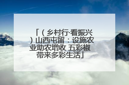 （乡村行·看振兴）山西屯留：设施农业助农增收 五彩椒带来多彩生活