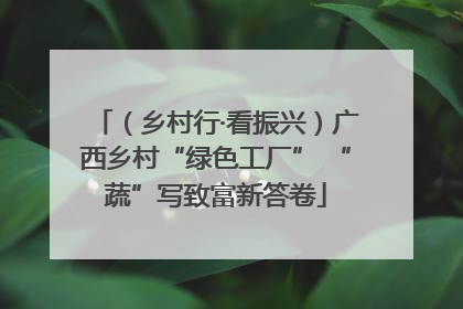 （乡村行·看振兴）广西乡村“绿色工厂” “蔬”写致富新答卷