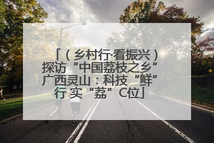 （乡村行·看振兴）探访“中国荔枝之乡”广西灵山：科技“鲜”行 实“荔”C位