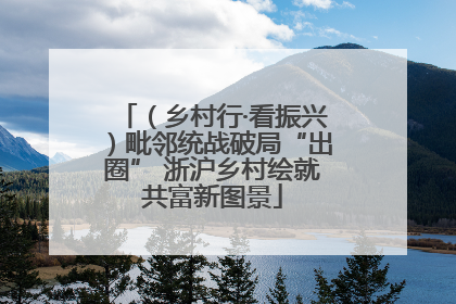 （乡村行·看振兴）毗邻统战破局“出圈” 浙沪乡村绘就共富新图景