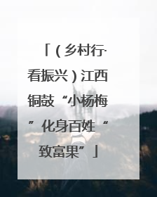 （乡村行·看振兴）江西铜鼓“小杨梅”化身百姓“致富果”