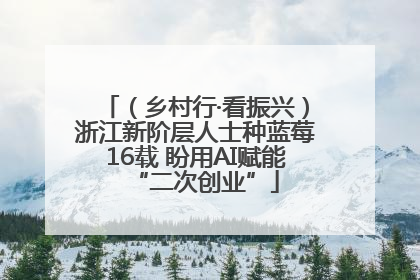 （乡村行·看振兴）浙江新阶层人士种蓝莓16载 盼用AI赋能“二次创业”