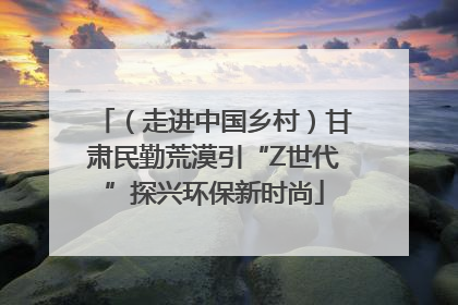 （走进中国乡村）甘肃民勤荒漠引“Z世代”探兴环保新时尚