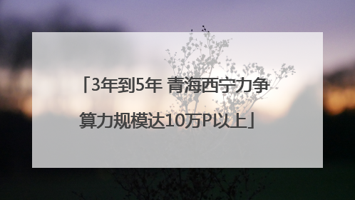 3年到5年 青海西宁力争算力规模达10万P以上