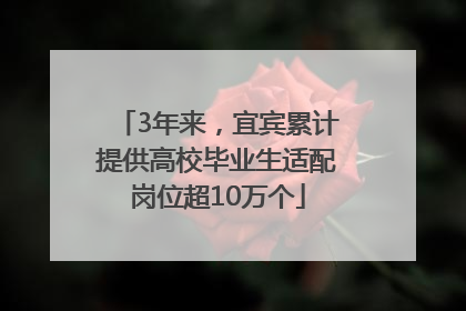 3年来，宜宾累计提供高校毕业生适配岗位超10万个