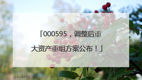 000595，调整后重大资产重组方案公布！
