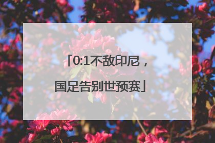 0:1不敌印尼，国足告别世预赛