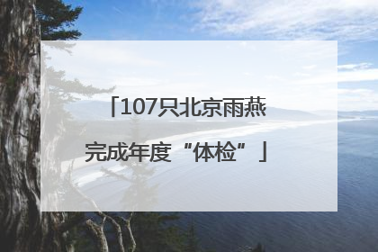 107只北京雨燕完成年度“体检”