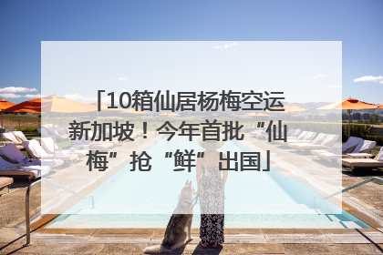 10箱仙居杨梅空运新加坡！今年首批“仙梅”抢“鲜”出国