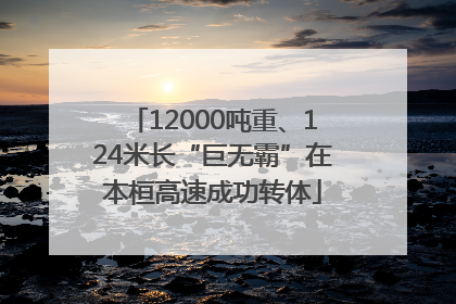 12000吨重、124米长“巨无霸”在本桓高速成功转体
