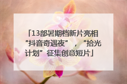 13部暑期档新片亮相“抖音奇遇夜”，“拾光计划”征集创意短片