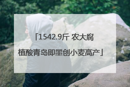 1542.9斤 农大腐植酸青岛即墨创小麦高产