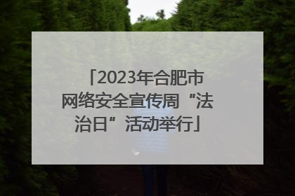 2023年合肥市网络安全宣传周“法治日”活动举行