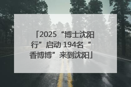 2025“博士沈阳行”启动 194名“香博博”来到沈阳