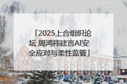 2025上合组织论坛 周鸿祎建言AI安全应对与柔性监管