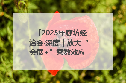 2025年廊坊经洽会·深度｜放大“会展+”乘数效应 打造消费新场景