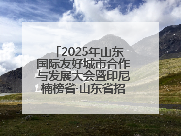 2025年山东国际友好城市合作与发展大会暨印尼楠榜省·山东省招商交流会在济南槐荫举行