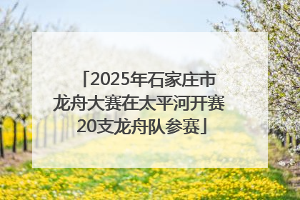 2025年石家庄市龙舟大赛在太平河开赛 20支龙舟队参赛