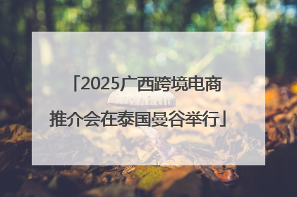 2025广西跨境电商推介会在泰国曼谷举行