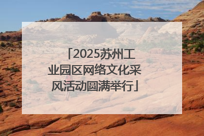 2025苏州工业园区网络文化采风活动圆满举行