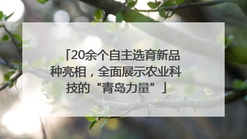 20余个自主选育新品种亮相，全面展示农业科技的“青岛力量”