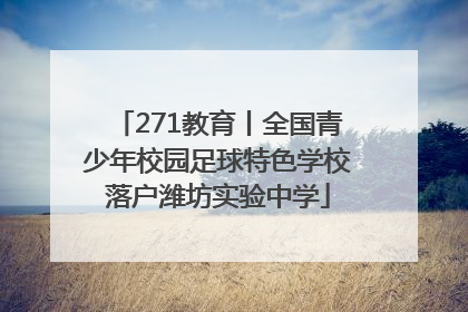 271教育丨全国青少年校园足球特色学校落户潍坊实验中学