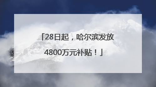 28日起，哈尔滨发放4800万元补贴！