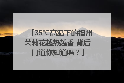 35℃高温下的福州茉莉花越热越香 背后门道你知道吗？