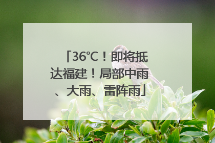 36℃！即将抵达福建！局部中雨、大雨、雷阵雨
