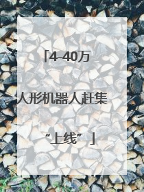 4-40万 人形机器人赶集“上线”