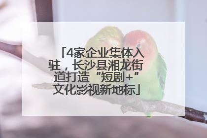 4家企业集体入驻，长沙县湘龙街道打造“短剧+”文化影视新地标