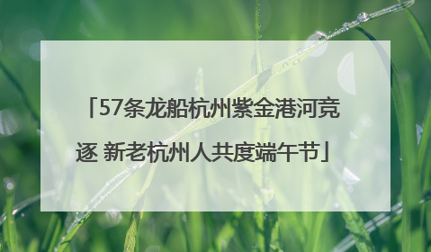 57条龙船杭州紫金港河竞逐 新老杭州人共度端午节