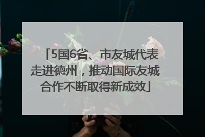 5国6省、市友城代表走进德州，推动国际友城合作不断取得新成效