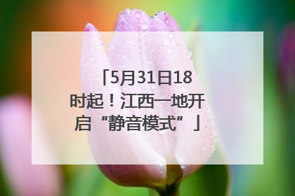5月31日18时起！江西一地开启“静音模式”