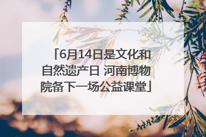 6月14日是文化和自然遗产日 河南博物院备下一场公益课堂