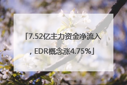7.52亿主力资金净流入，EDR概念涨4.75%